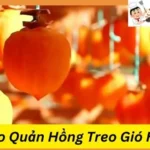 Cách Bảo Quản Hồng Treo Gió Hiệu Quả