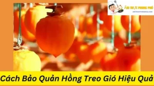 Cách Bảo Quản Hồng Treo Gió Hiệu Quả